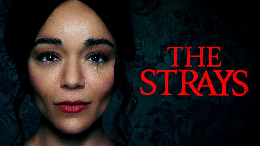 دانلود فیلم  The Strays 2023 دوبله فارسی